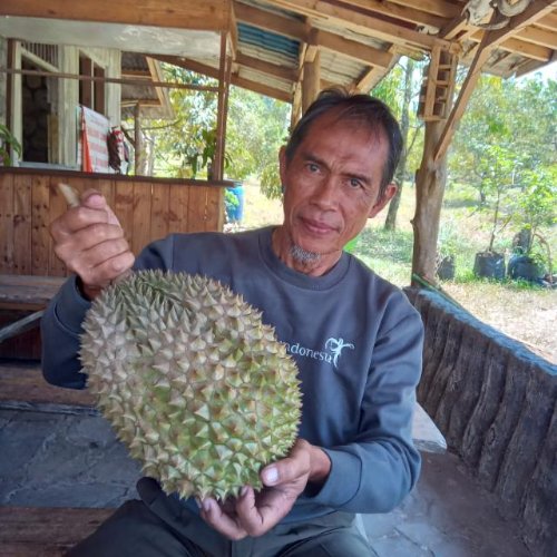 Anggota
